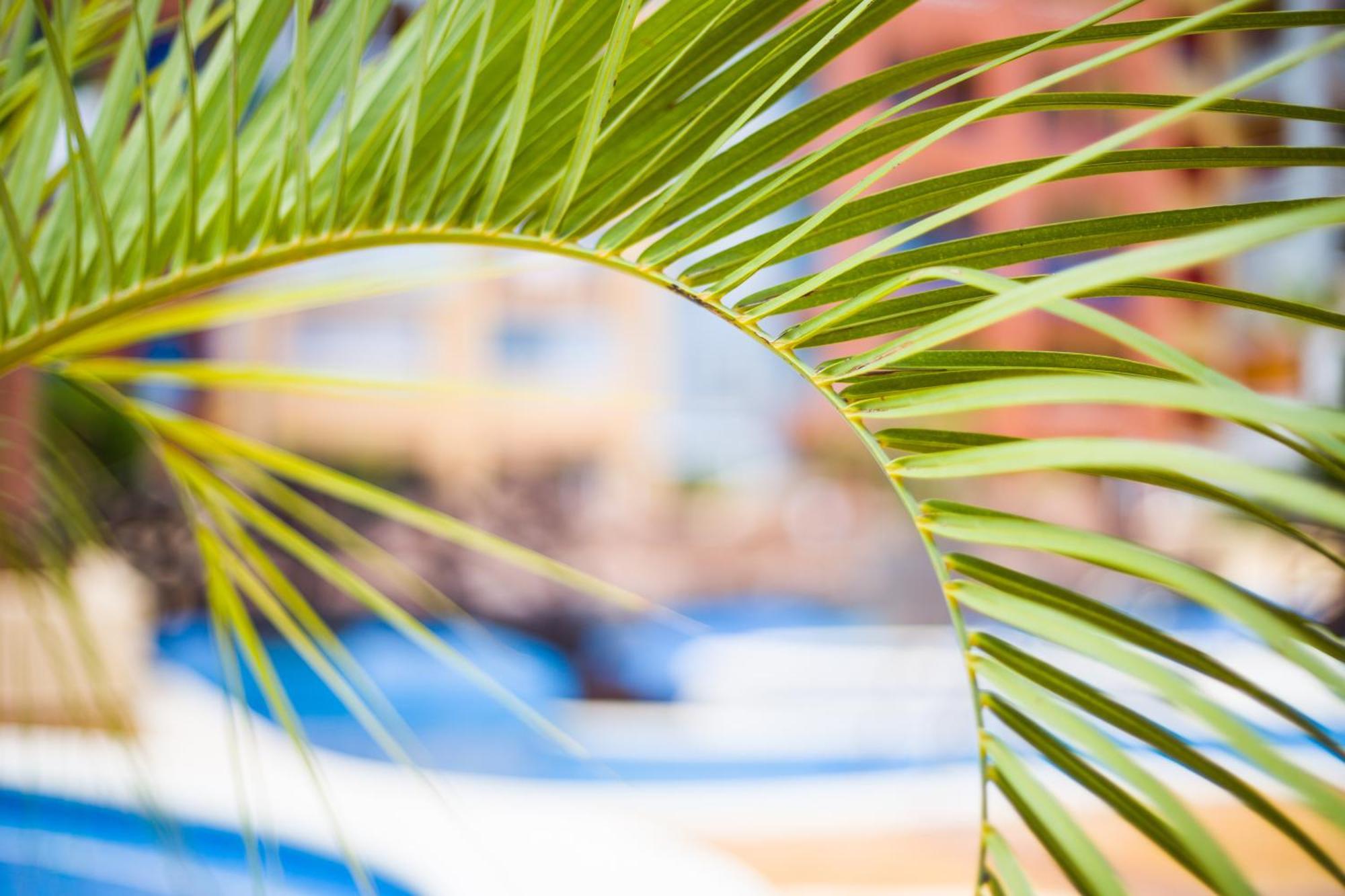 Apartamento Turistico Verdemar 2 ラ・マンガ・デル・マール・メノール エクステリア 写真