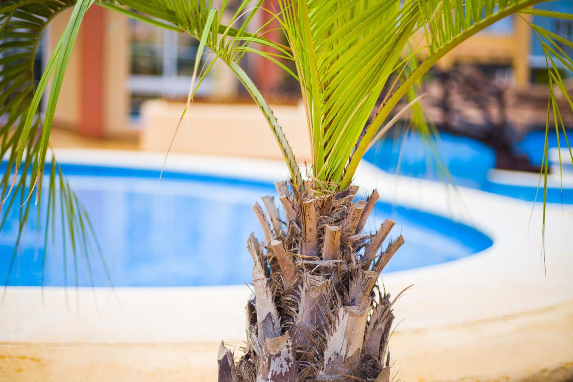 Apartamento Turistico Verdemar 2 ラ・マンガ・デル・マール・メノール エクステリア 写真
